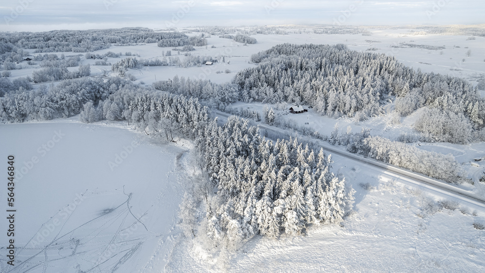 Beautiful aerial view of snow covered pine forests and a road among trees Beautiful aerial view of snow covered pine forests and a road among trees