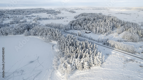 Beautiful aerial view of snow covered pine forests and a road among trees