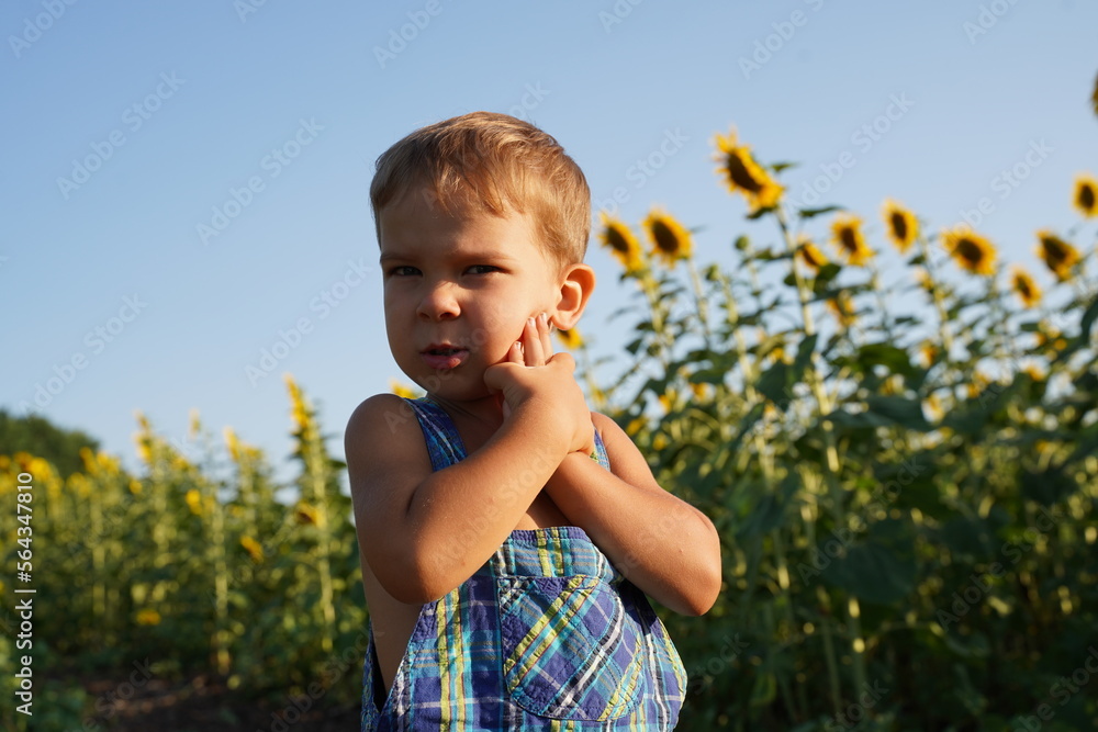 Beautiful child with sunflower in spring field Beautiful child with sunflower in spring field