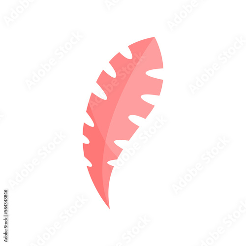 Red exotic leaf vector illustration. Doodle of botanical sticker or tropical jungle leaf isolated on white background. Summer, vacation concept