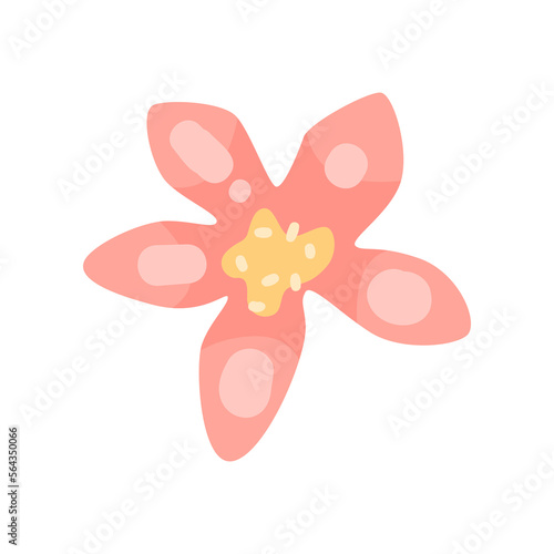 Tropical flower vector illustration. Doodle of botanical sticker or tropical jungle plant isolated on white background. Summer, vacation concept © PCH.Vector
