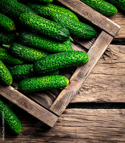 Fresh cucumbers on a wooden tray. 