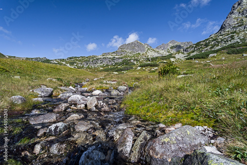 Widok z Doliny Pięciu Stawów na strumyk oraz panoramę gór