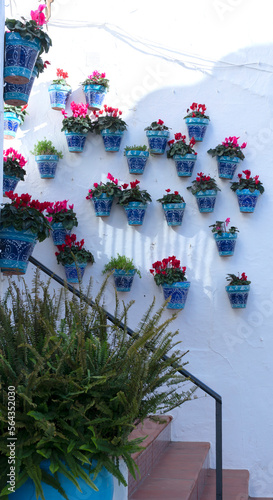 wall with pots and colorful flowers in the village of Mijas, Andalucia, Spain © Sergio