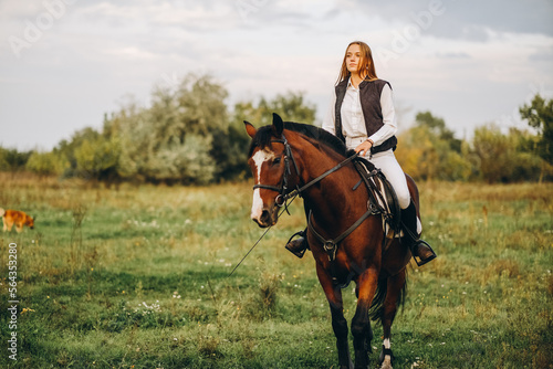 Young beautiful blonde woman jockey rides a brown horse in a meadow at sunset in summer. Preparing for an equestrian competition. © sergo321