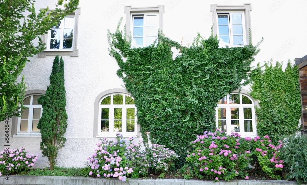 Ivy covered entrance to white painted brick house with beautiful flower garden and wreath and arched windows