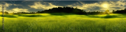 panoramic image of a grassy field outdoors on a sunny afternoon day during the summer season. Generative AI image