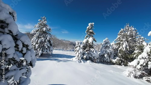 Wallpaper Mural Paesaggio invernale, alberi carichi di neve.Ripresa aerea con drone FPV Winter landscape, trees laden with snow. Aerial shot Torontodigital.ca