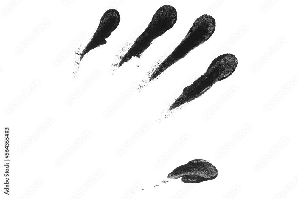 fingerprint hand palm texture png isolated fingerprint hand palm texture png isolated