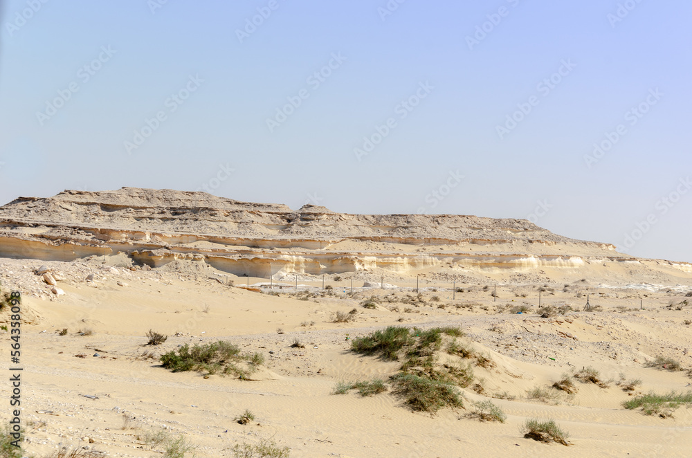 Desert landscape with limestone hillocks in the background
