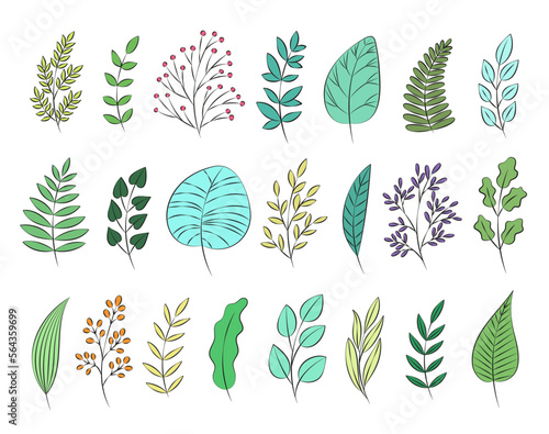 Collection of different vector colorful doodle style hand drawn leaves. Set of nature elements for designs, templates, wedding cards, invitations, greeting cards, posters, postcards.