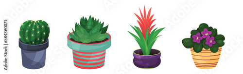 Green Indoor Garden Plants Growing Ceramic Pots Vector Set