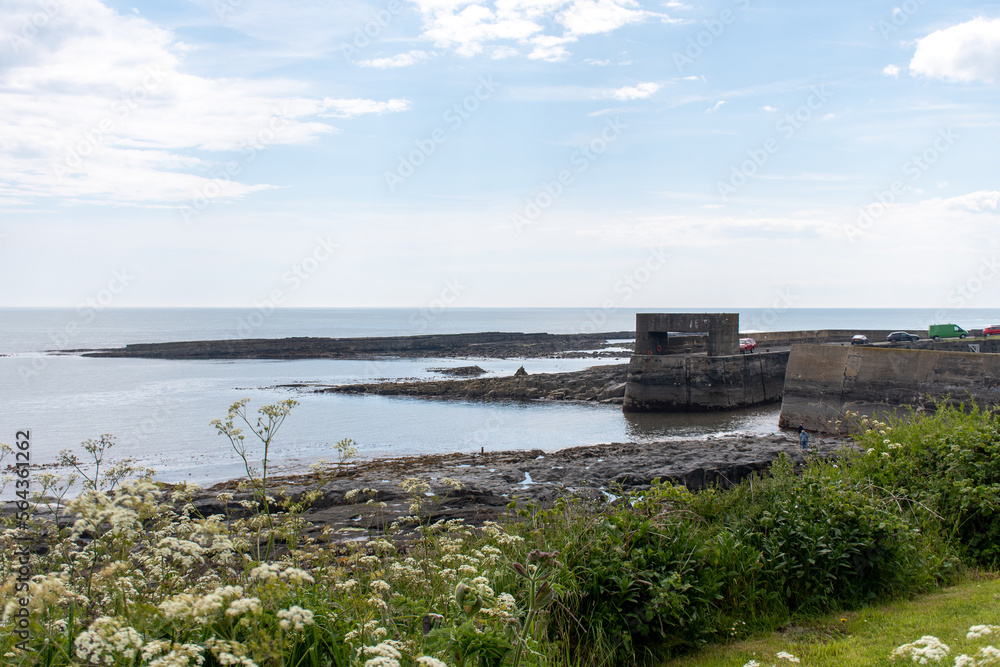 Views of the fishing village and harbour of Craster, in Northumberland, UK. In summer with blooming wildflowers