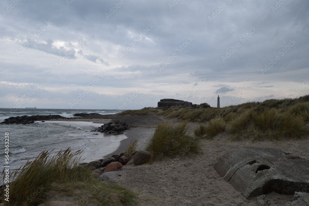 Baltic coast at Skagen Fyr; Denmark; North Jutland