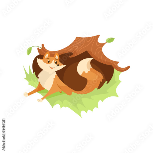 Comic fox coming out of den under tree vector illustration. Cartoon drawing of wild orange animal character in hole isolated on white background. Nature, wildlife concept