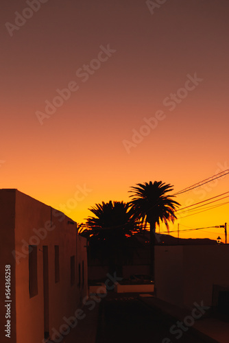 Beautiful colorful orange sunset or sunrise over the mountains and palm tree silhouette. Sky with clouds lit by sun natural background.