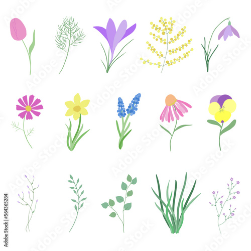 set of vector flowers and foliage