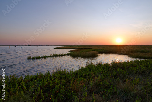 The Aiguillon bay in Charente-Maritime coast