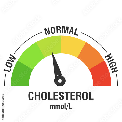 Cholesterol meter, color scale with arrow. Low, normal and high cholesterol level measuring device. Medicine and health. Vector illustration