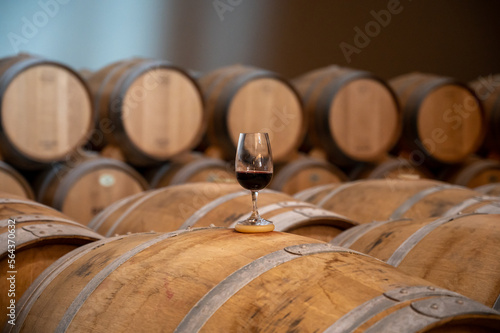 Tasting of rioja wines, visit of winery cellars with french or american oak barrels with agening red wine, Rioja wine making region, Spain photo