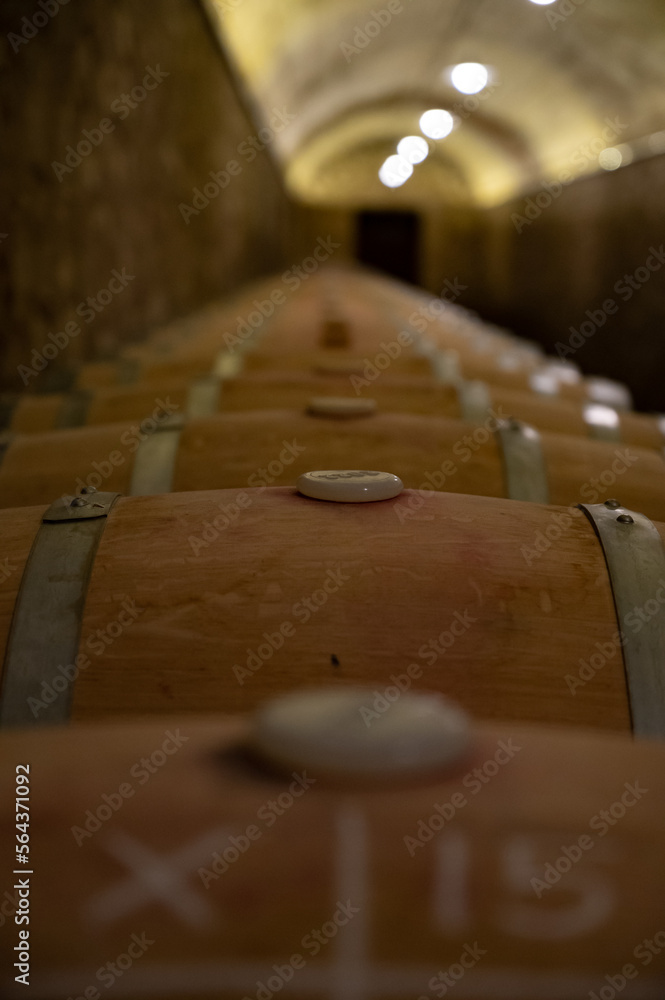 Old french oak wooden barrels in cellars for wine aging process, wine making in La Rioja region, Spain