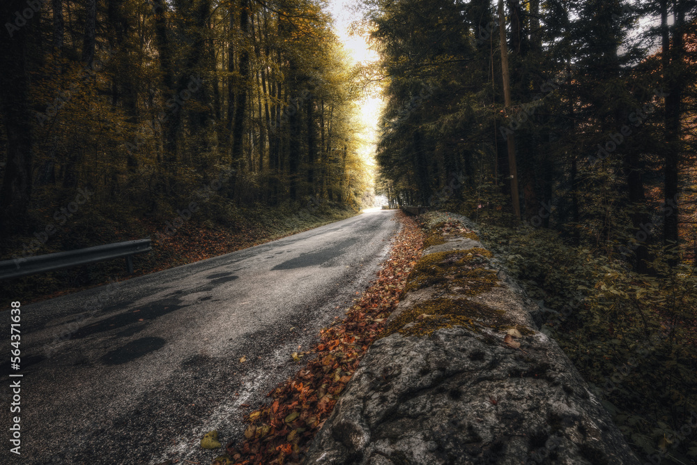 strada foliage autunno