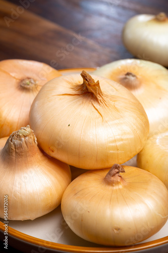 Flat sweet onion borretana from Spain