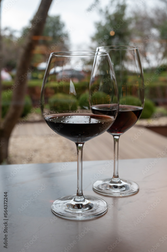 Tasting of red reserva rioja wines, visit of winery cellars in Haro, capital of Rioja wine making region, Spain