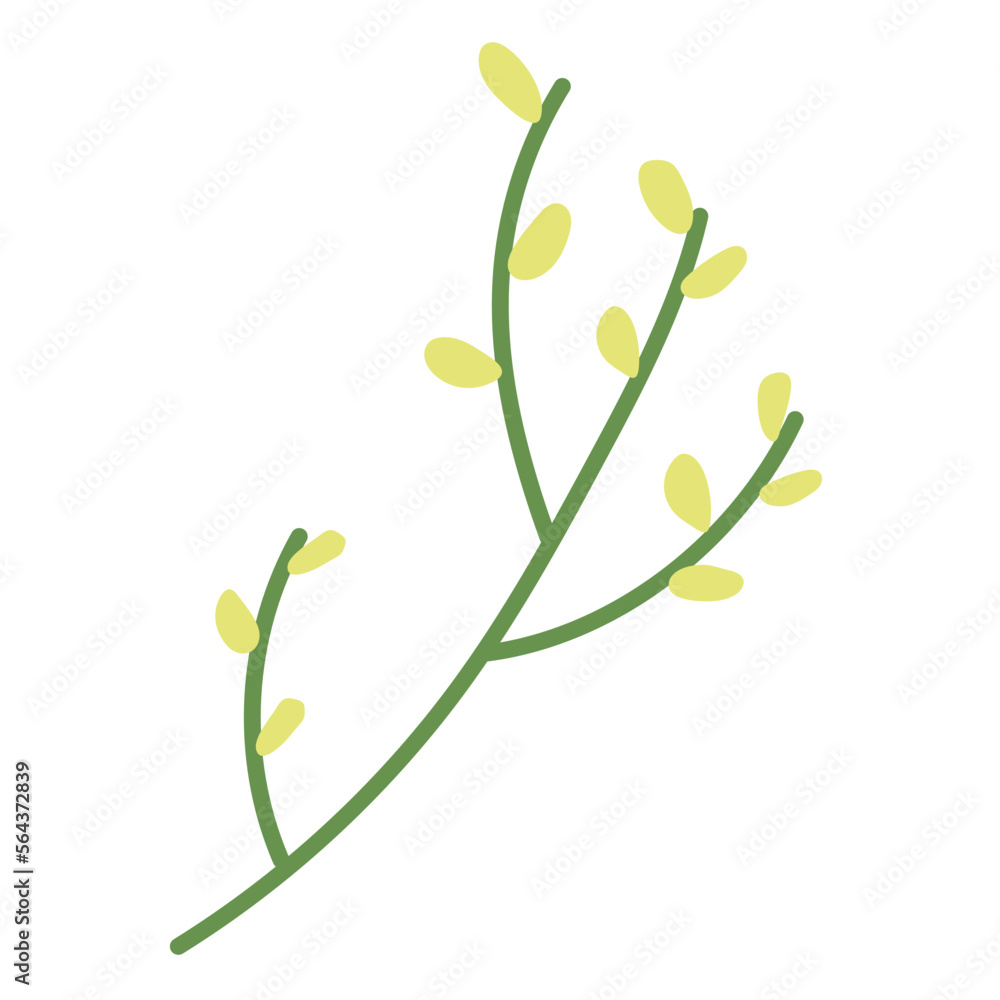 Green branch with yellow buds Green branch with yellow buds