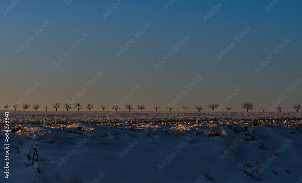 Sunset in thuringia with snow at krippendorf in winter Sunset in thuringia with snow at krippendorf in winter