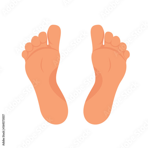 Left and right foot soles illustration for footwear, shoe concepts, medical, health, massage, spa, acupuncture centers etc. Realistic cartoon style, colored with skin tones. Vector isolated on white.