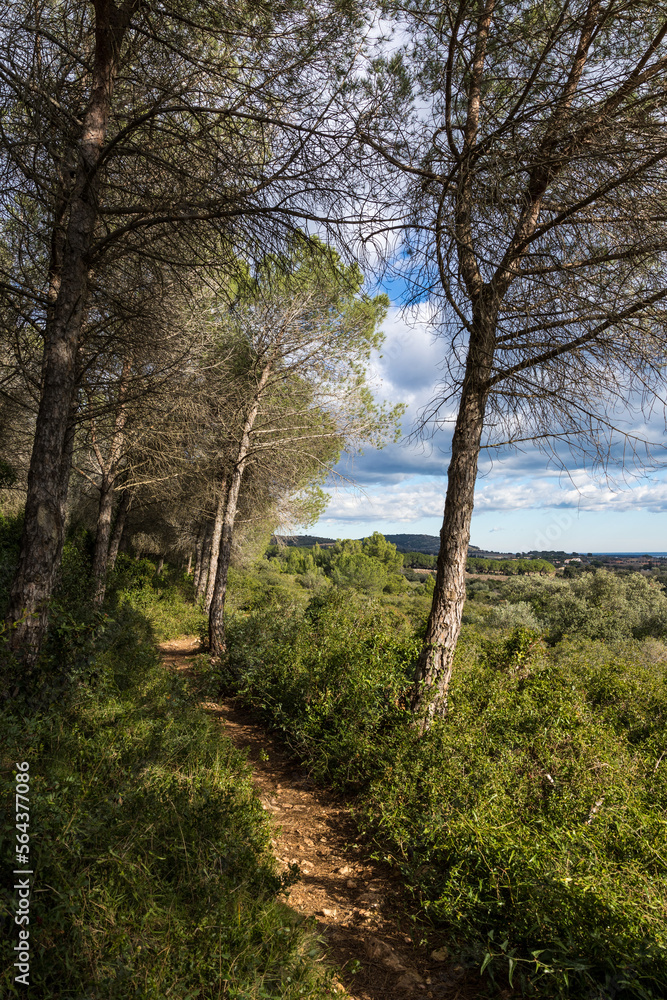 Chemin de randonnée sur les flancs du massif de la Gardiole à Frontignan Chemin de randonnée sur les flancs du massif de la Gardiole à Frontignan