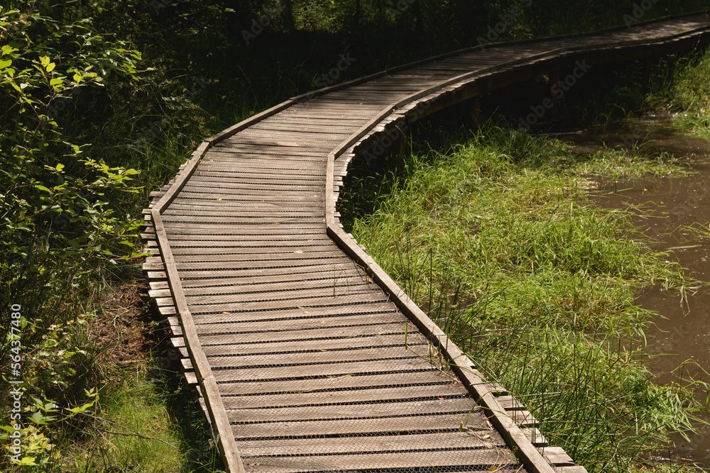 pond in park with old wooden bridge over lake sunny day perspective pond in park with old wooden bridge over lake sunny day perspective