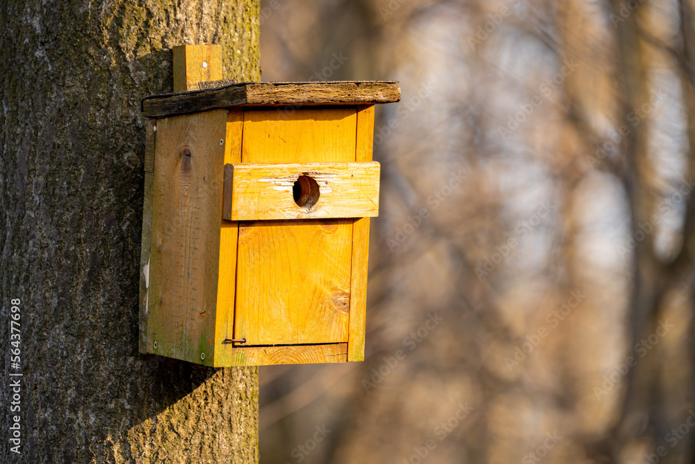 Nistkasten an einem Baum