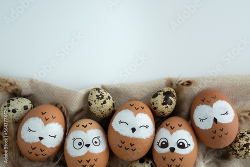 Photography Funny owl family