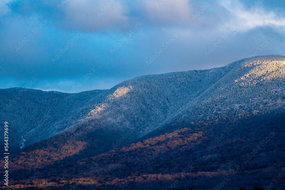 snow covered trees in white mountains national forest at golden hour snow covered trees in white mountains national forest at golden hour