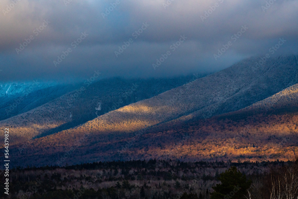 snow covered trees in white mountains national forest at golden hour