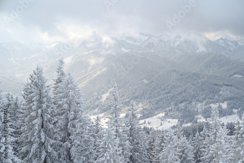 Winterlandschaft in den Ammergauer Alpen, Bayern, Deutschland