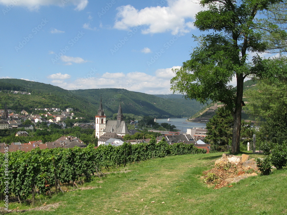 Blick auf Bingen mit dem Rhein