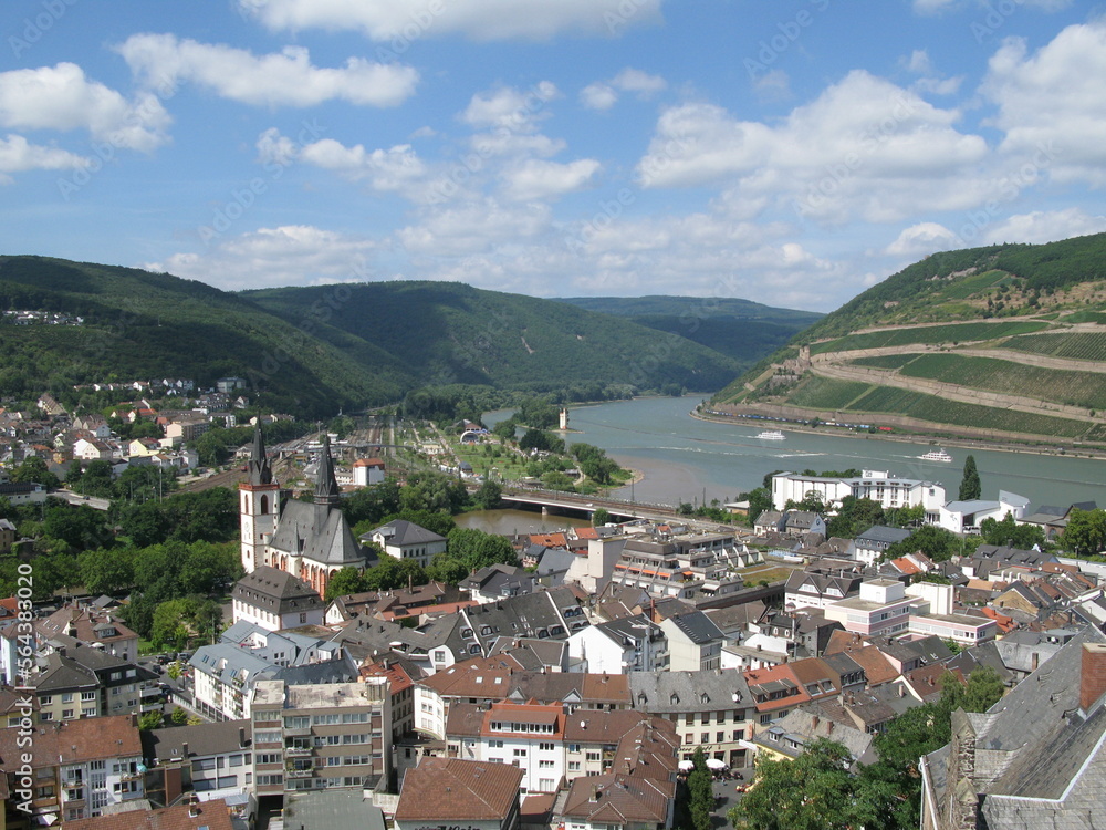 Blick auf Bingen und den Mittelrhein