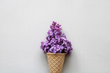 purple lilac in a waffle cup on a light background.
