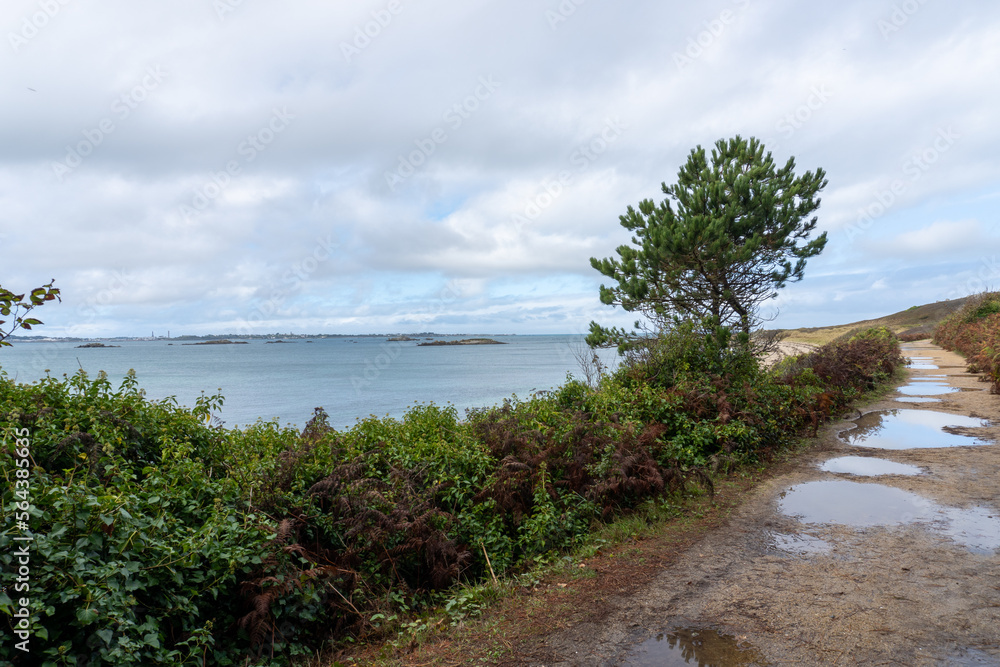 Herm Island, Channel Island in Bailiwick of Guernsey. Car free island is popular British Isles holiday destination. Puddles on hiking path near bear's beach. 