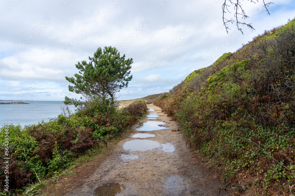Herm Island, Channel Island in Bailiwick of Guernsey. Car free island is popular British Isles holiday destination. Puddles on hiking path near bear's beach. 