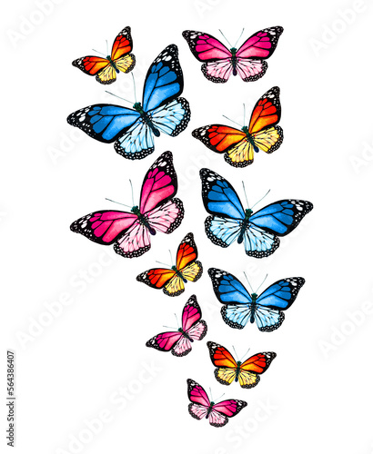 Flock of color monarch butterflies, isolated on the white