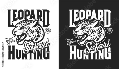 Powerful leopard mascot, hunting safari sport t-shirt print and hunters club vector emblem. Angry leopard or jaguar panther with fangs symbol for African Safari open season or hunting club t-shirt