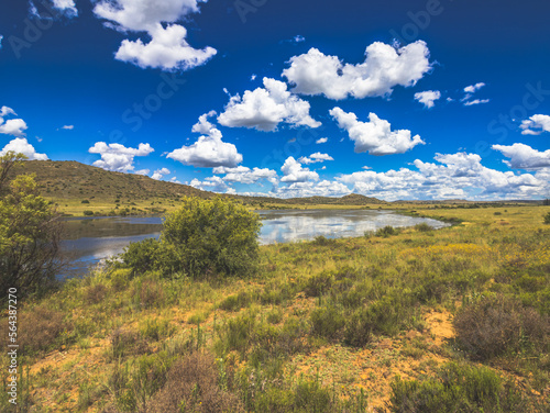 Wild flowers in a field with a dam and grass in the foreground, and hills and clouds in the background of this farming landscape in South Africa.