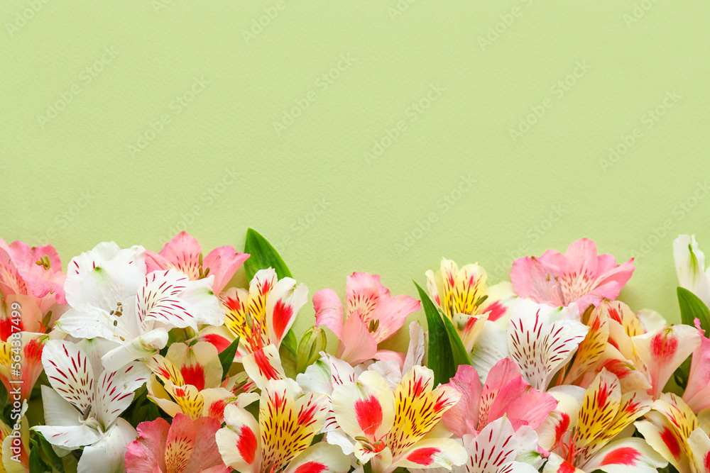 Beautiful alstroemeria flowers on green background. Mother's day celebration
