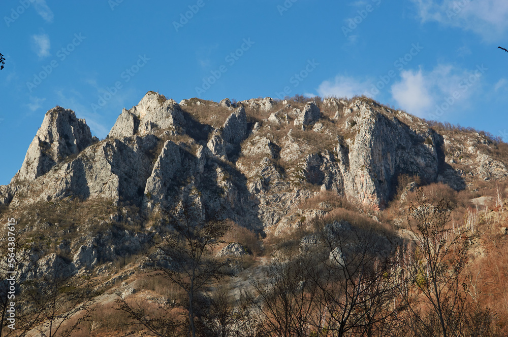 Fototapeta premium landscape in the mountains