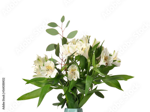 Bouquet of alstroemeria flowers isolated on white background