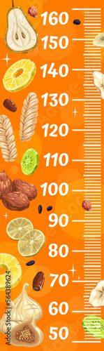 Dried fruits kids height chart. Vector growth meter, wall sticker for children height measurement with cartoon pear, pineapple, rinse and melon. Lemon slice, apricot, dates or rosehip and ruler scale
